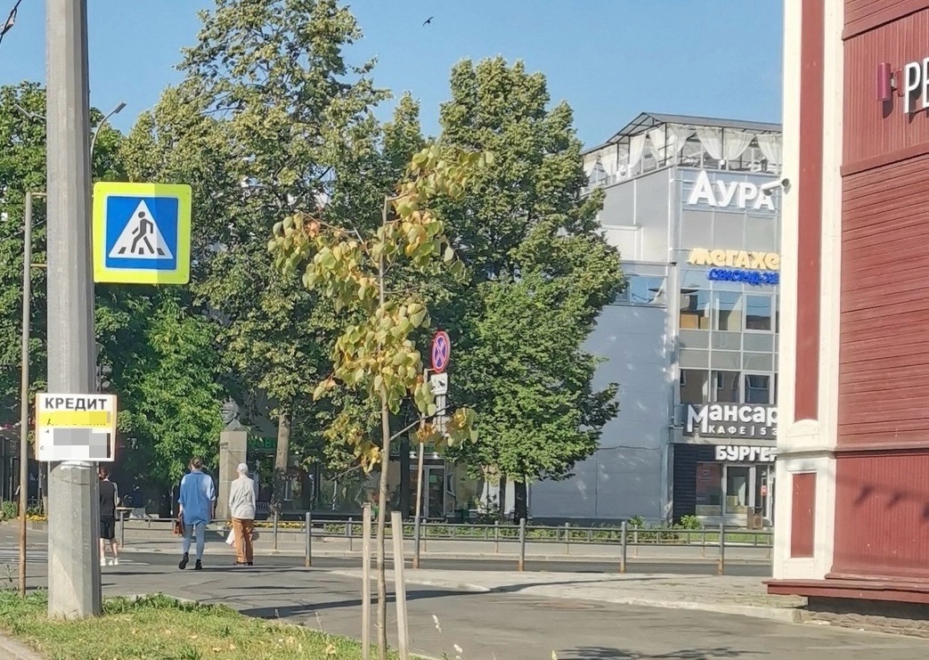 В Петрозаводске сняли 12 незаконных рекламных вывесок, администрация готовит заявление в полицию