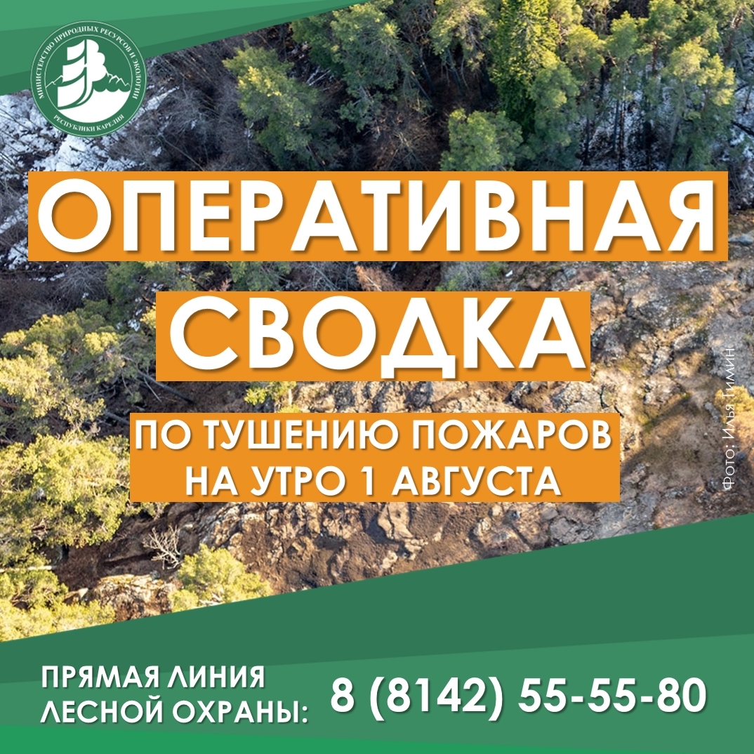 В Карелии продолжают тушить 32 лесных пожара