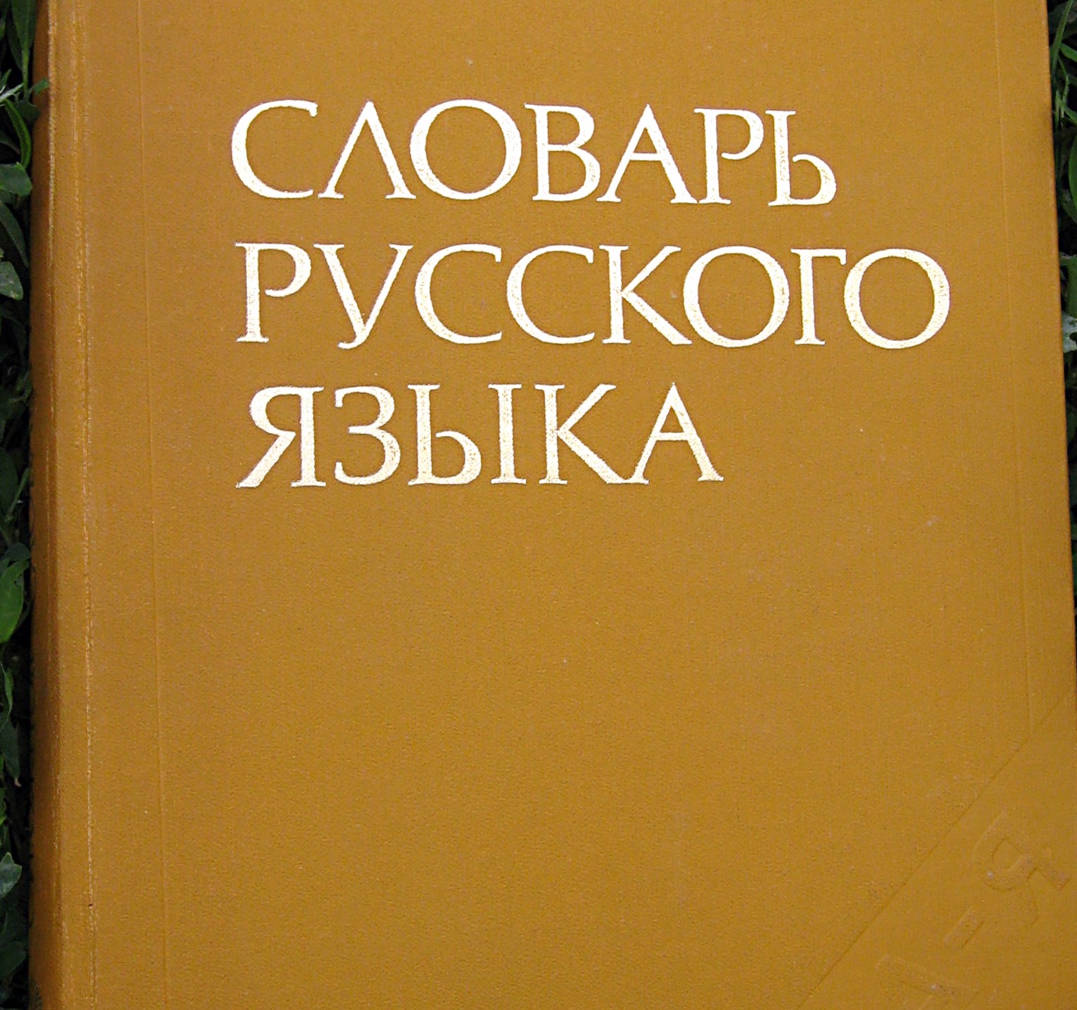 «Промпт», «брейнрот», «пупупу» - главные слова 2025 года