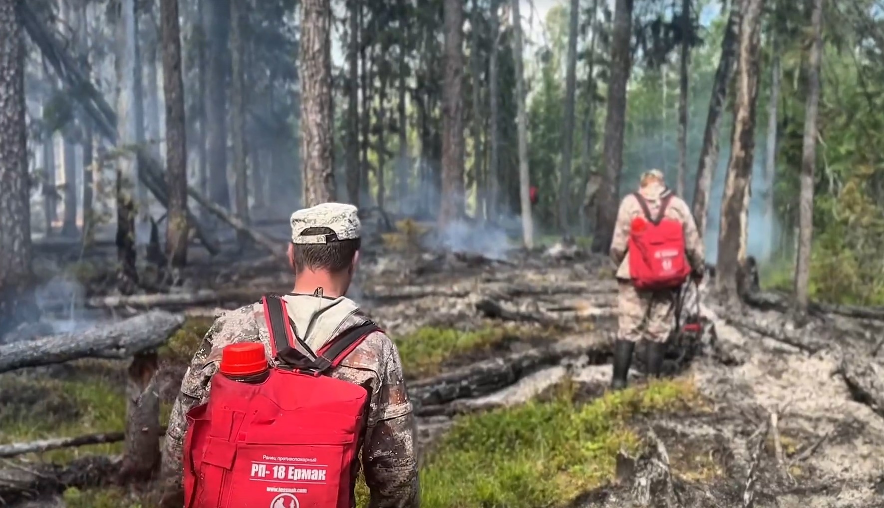Герои Водлозерья: как инспекторы спасли парк от огня