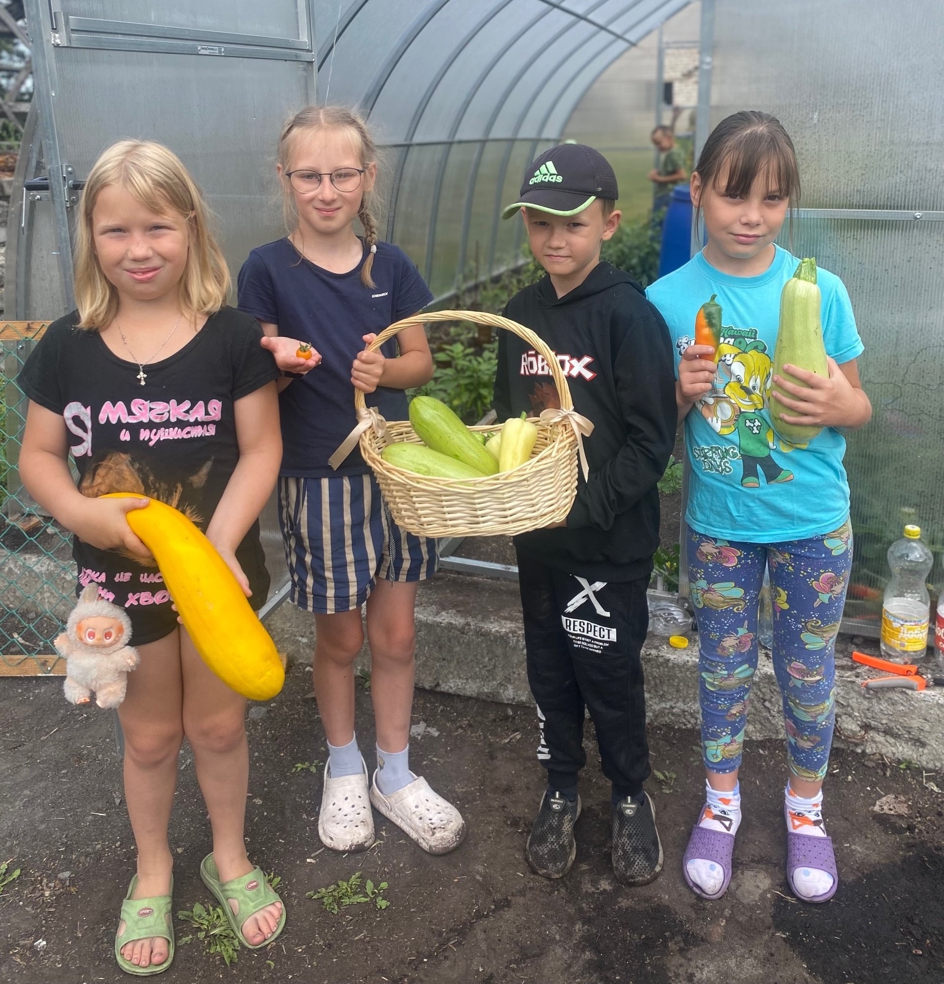 Школьники из Толвуи собрали первый урожай в подаренной теплице