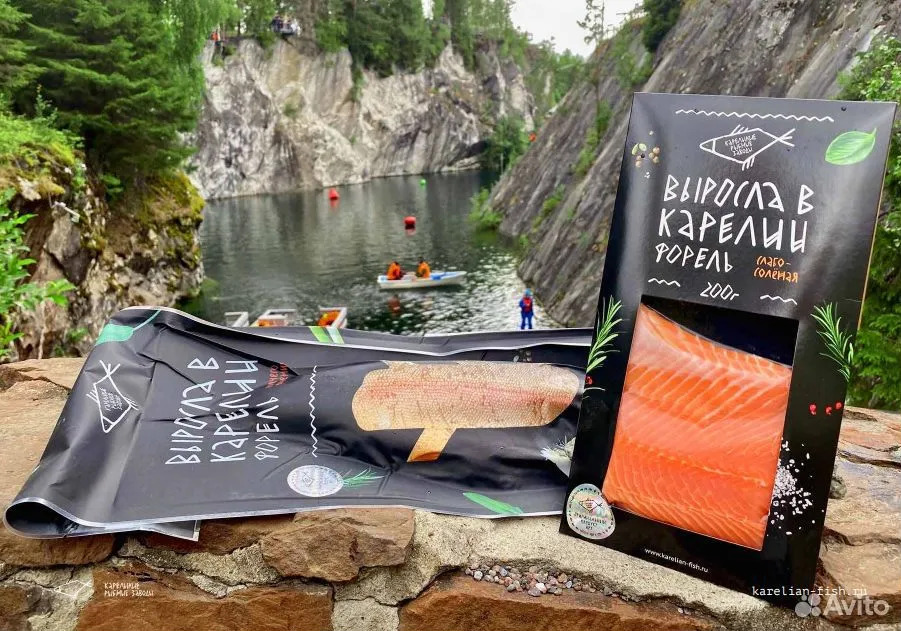 От форели до турбаз: в Карелии продаются готовые бизнесы