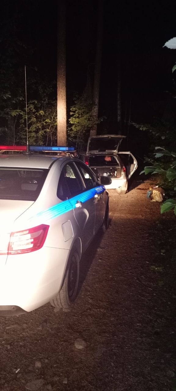 Ночная поездка в популярном дачном поселке Карелии закончилась госпитализацией после встречи с деревом