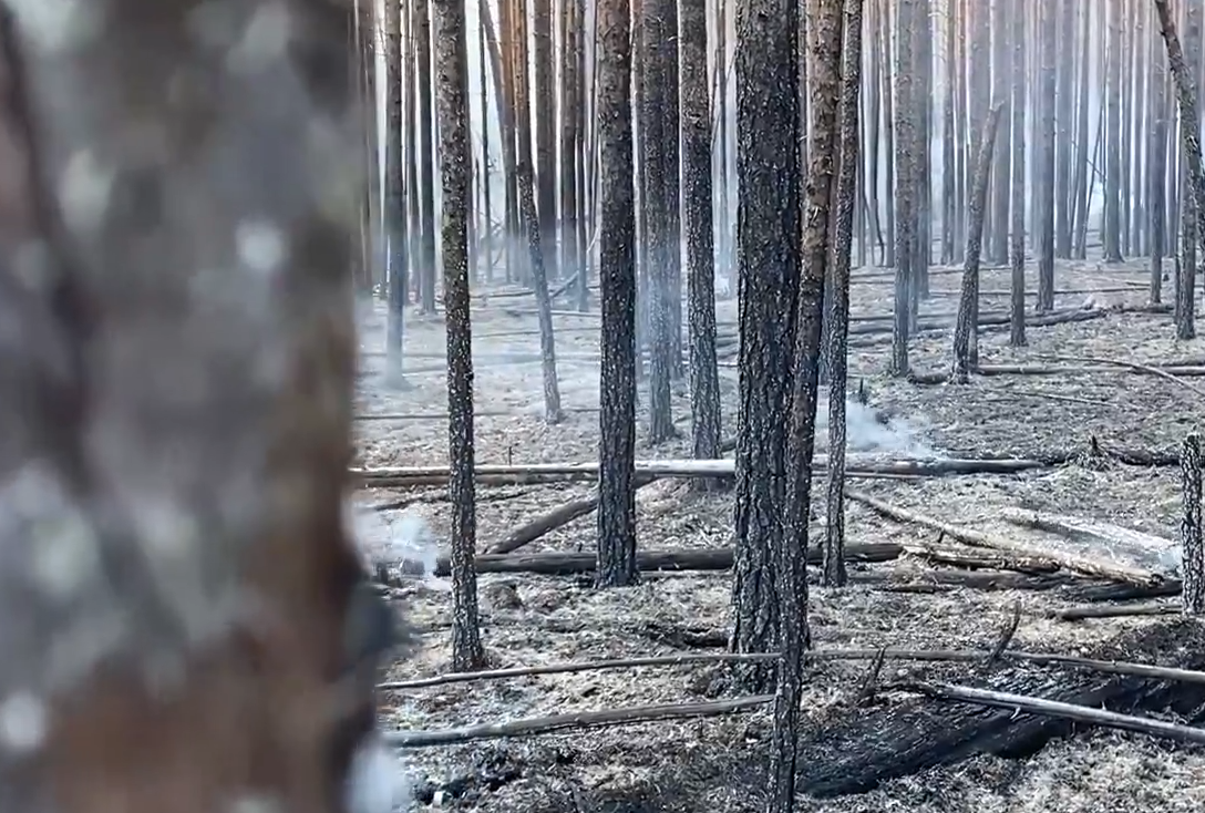 Глава Карелии выделил 15 млн рублей на борьбу с лесными пожарами