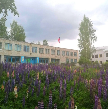 Учебный год под угрозой: из-за давления администрации учителя массово покидают Боровскую школу