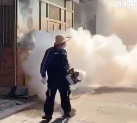 Роспотребнадзор предупредил о риске завоза лихорадки чикунгунья из Китая