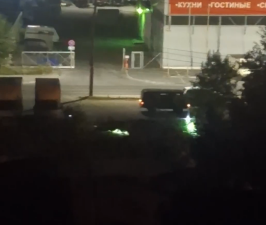 Неизвестные пилят деревья по ночам в Петрозаводске