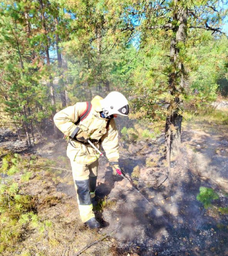 В Лоухском районе потушены все лесные пожары, но сезон еще не окончен