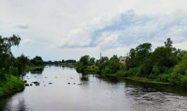 Пробы воды в Олонке показали превышение норм патогенных бактерий