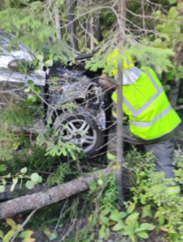 Ford Focus съехал в кювет: пожарным пришлось распиливать деревья для доступа к автомобилю