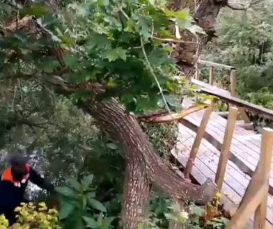 Жители поселка Шелтозера спасли мост от разрушения