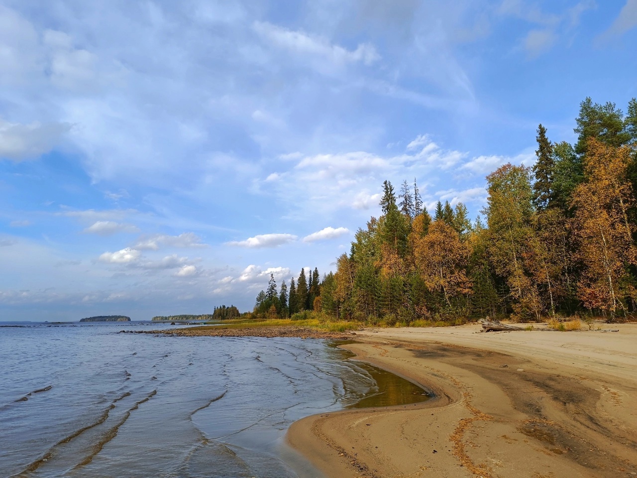 «Диалог с солнцем»: фотограф запечатлел глухаря в красивейшем ракурсе