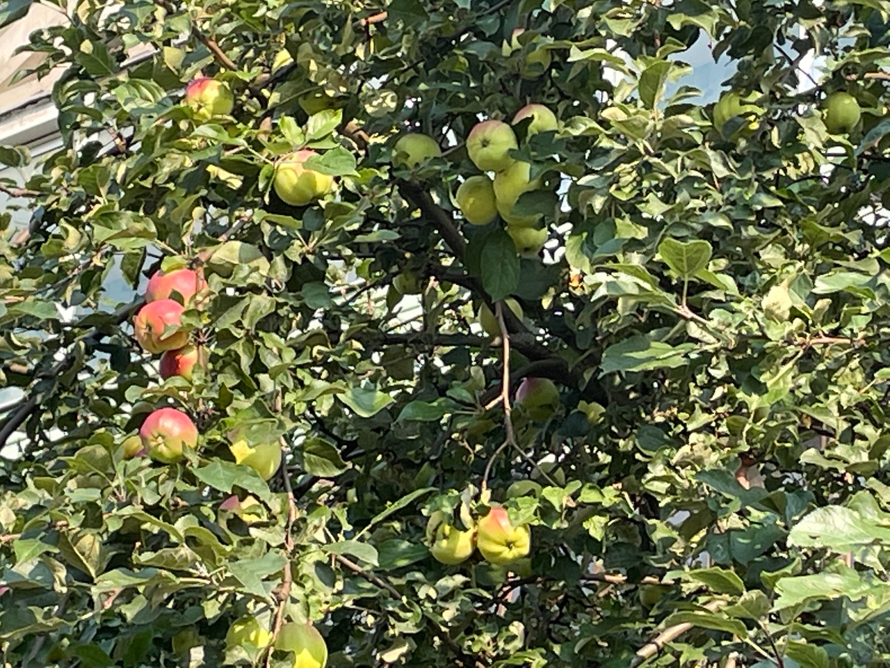 Ночью Карелия особенно почувствует дыхание приближающейся осени