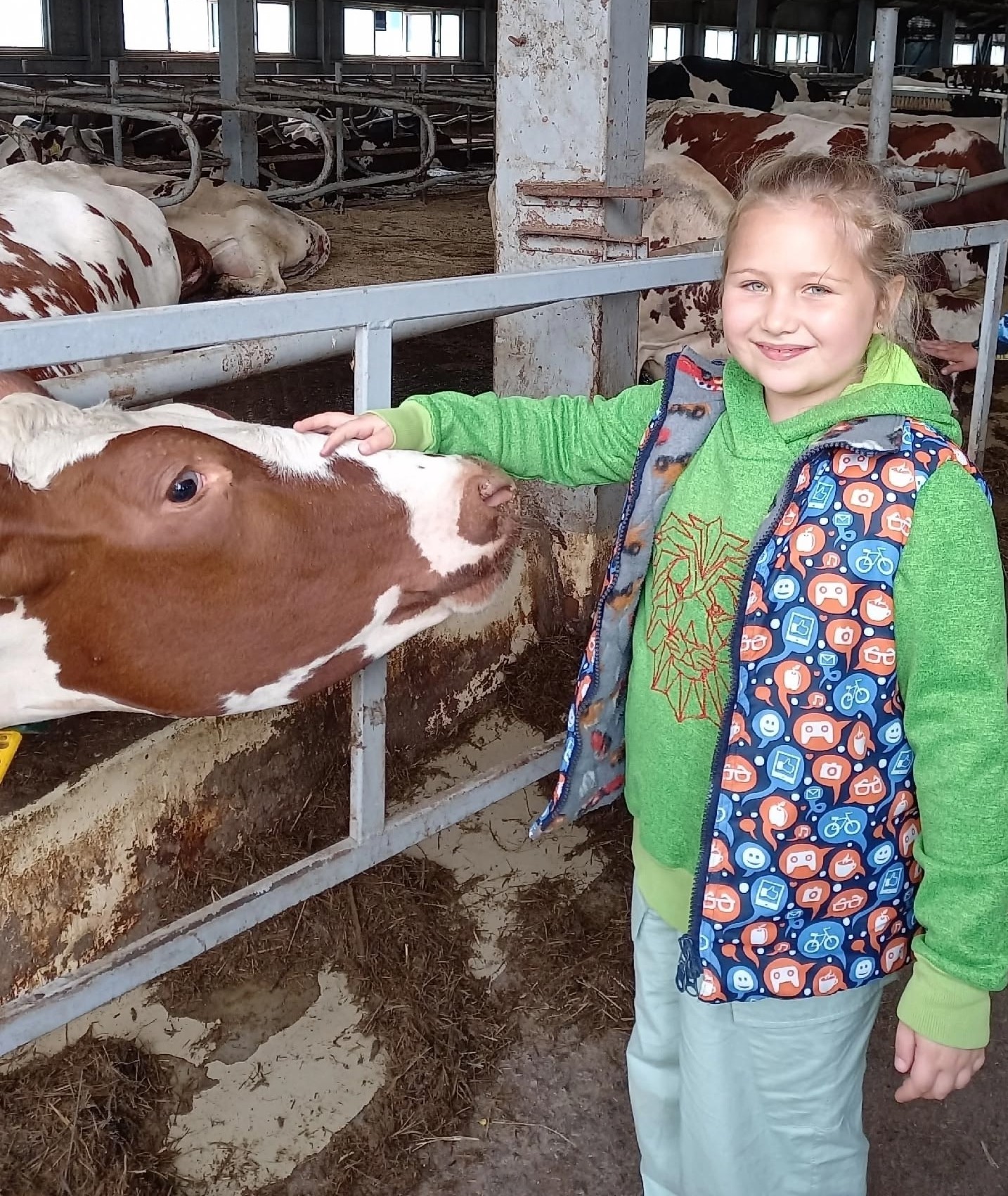 Агроклассы Карелии возобновят работу с 1 сентября в пяти сельских школах