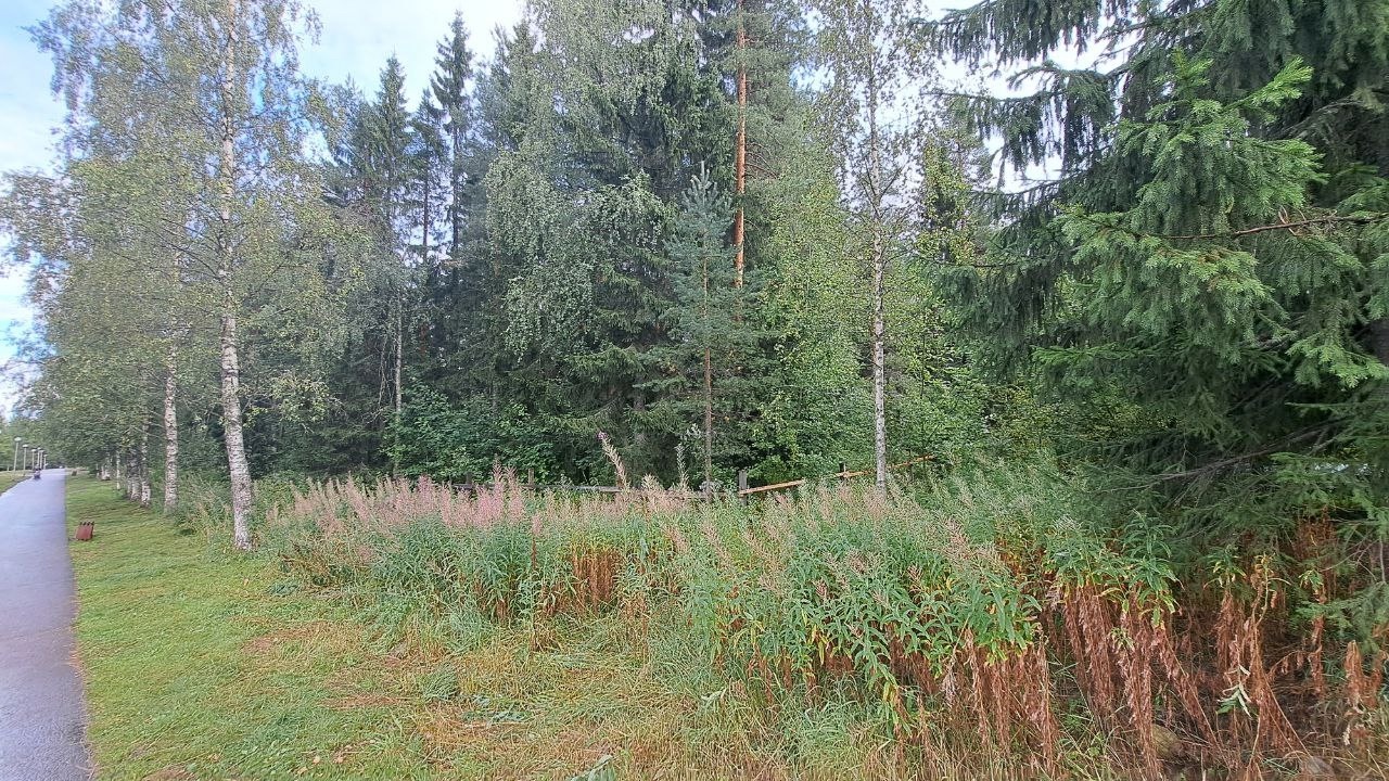 Обращение костомукшанки  в администрацию города о непонятном строительстве осталось без ответа