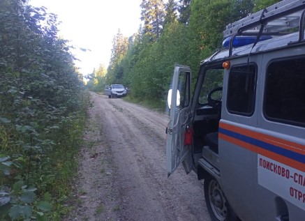 Двое сборщиц ягод заблудились в Лахденпохском районе