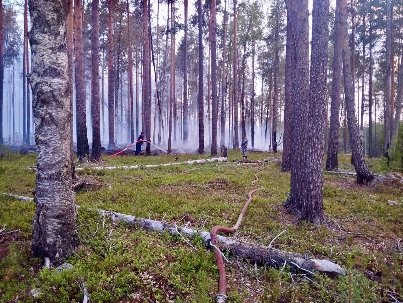 К Воломе снова подступил огонь: поселок отстояли всем миром