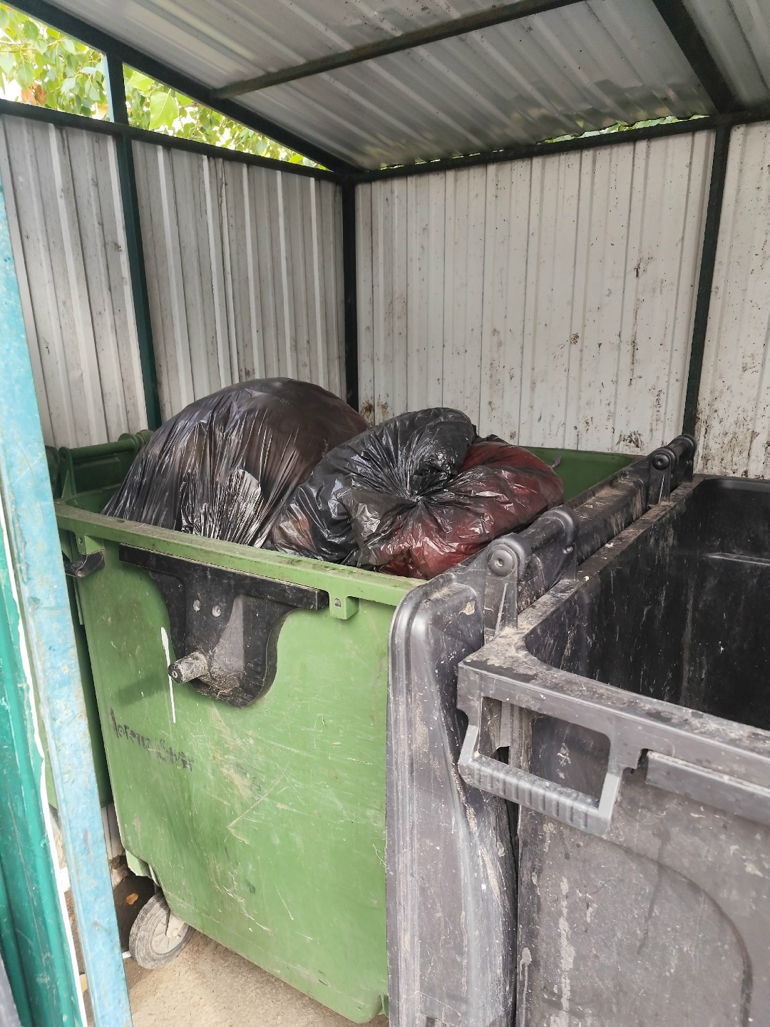 Вещи из теплообмена выбросили в мусорный бак в Петрозаводске