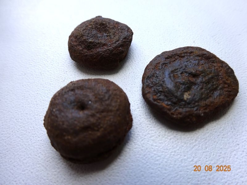 В сети рассказали, как добывали руду для Петровского завода