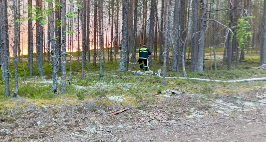 Пожарные спасли поселок в Калевальском районе от лесного пожара