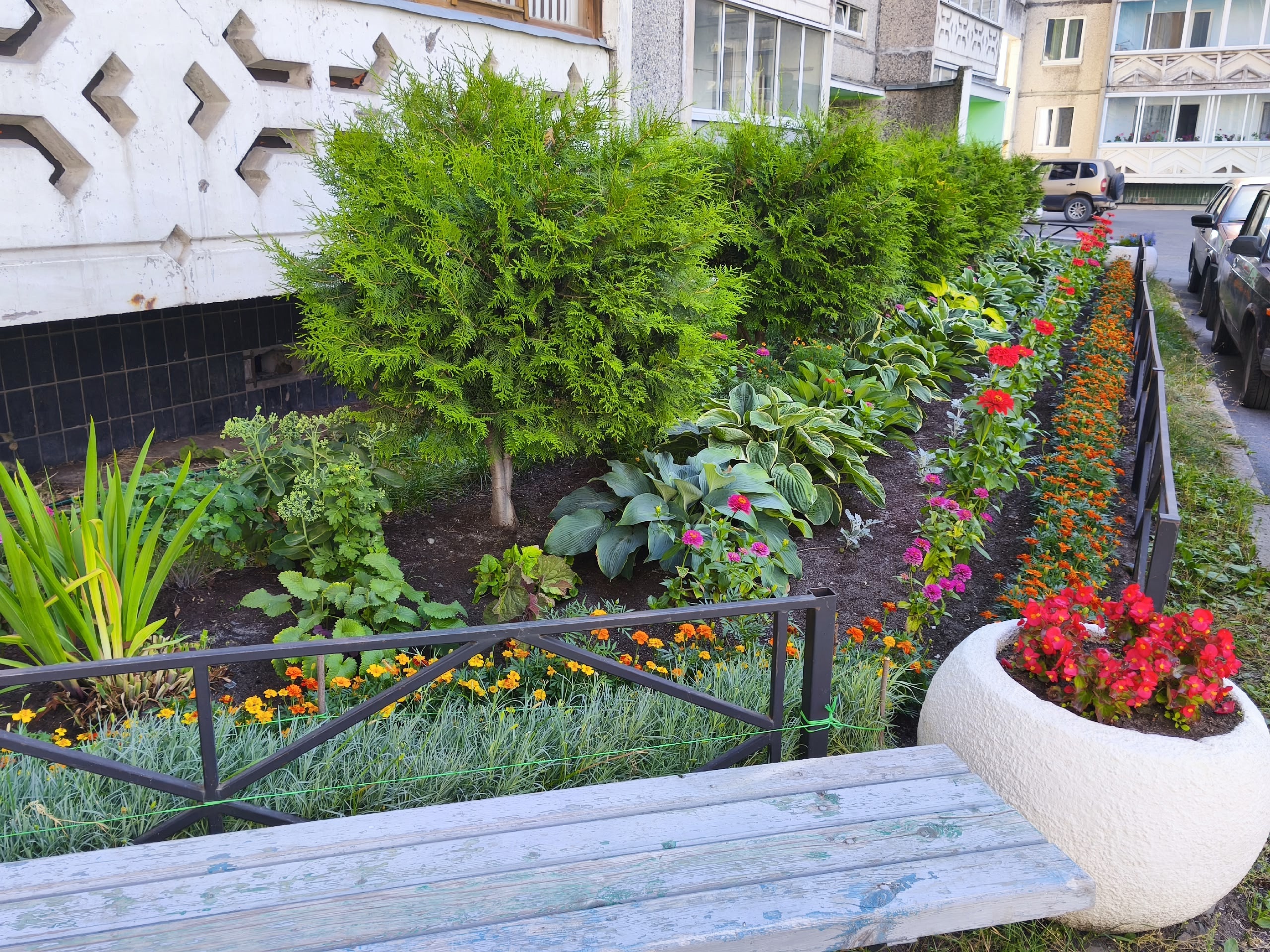 В Кондопоге показали самые яркие палисадники