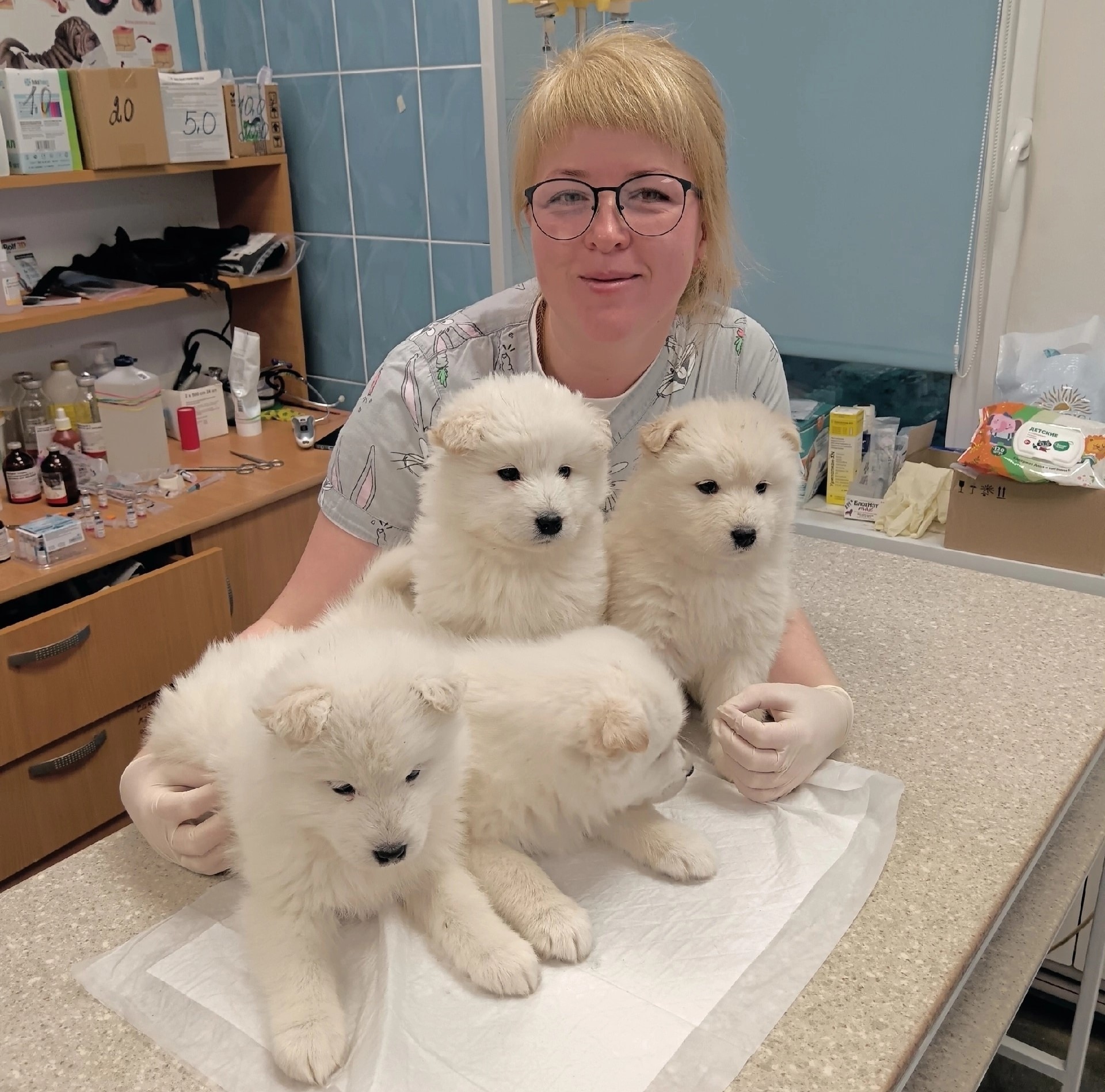 Министр сельского хозяйства Карелии поздравила ветеринаров с профессиональным праздником