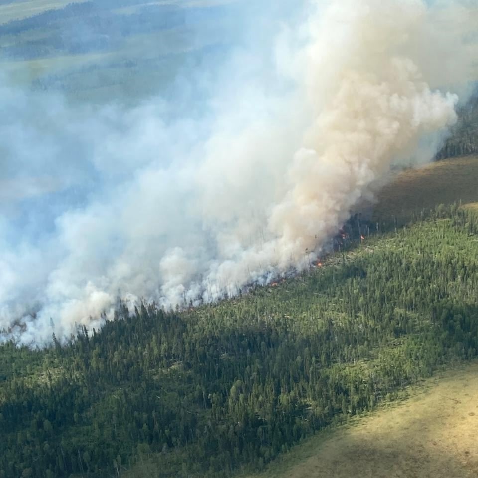 Пять лесных пожаров действуют на территории Карелии