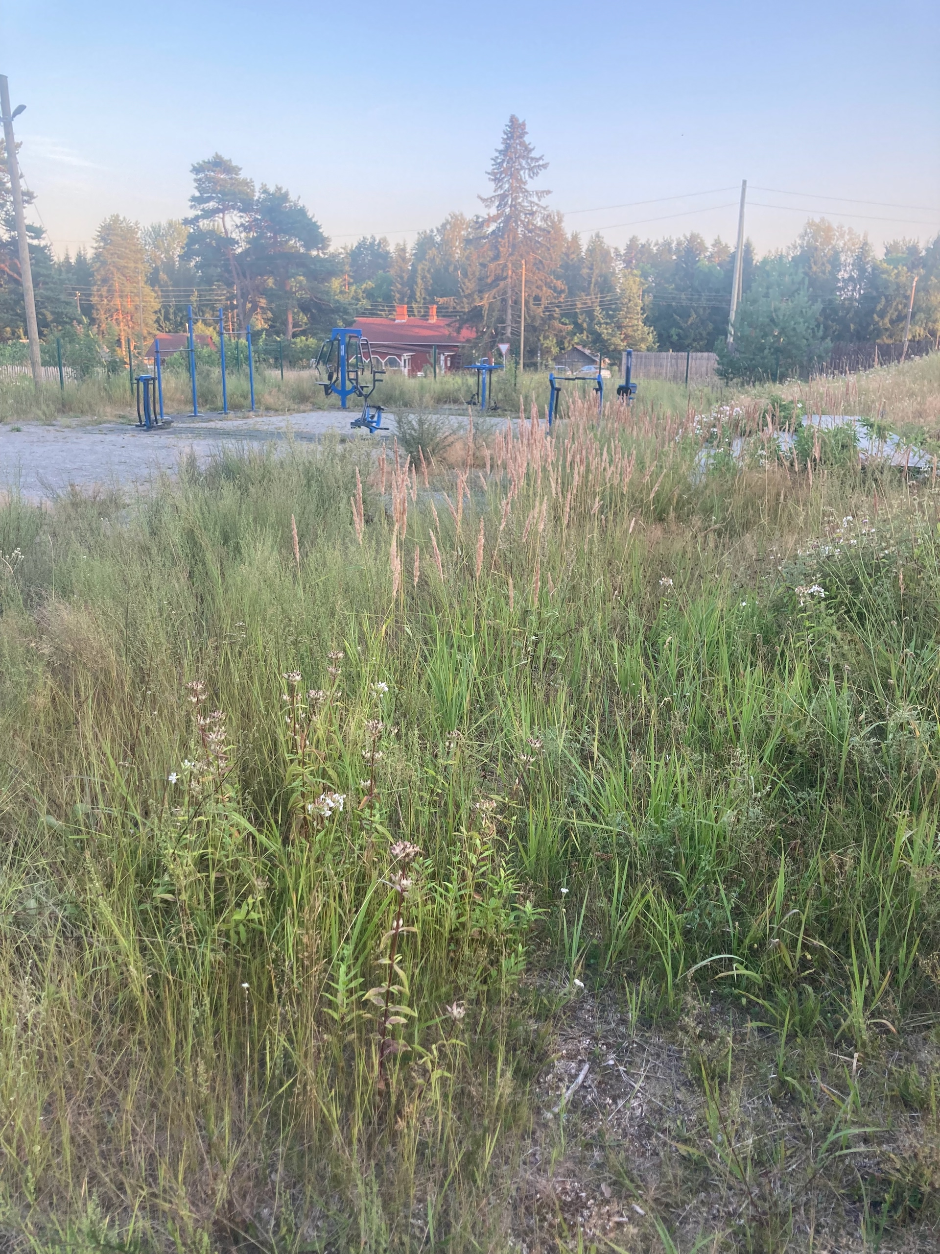 Жители карельского поселка пожаловались на запущенную спортплощадку