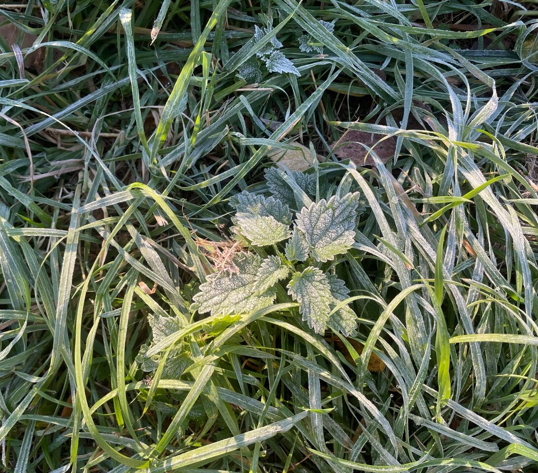 Синоптики не исключили скорое похолодание до 0°С в Карелии