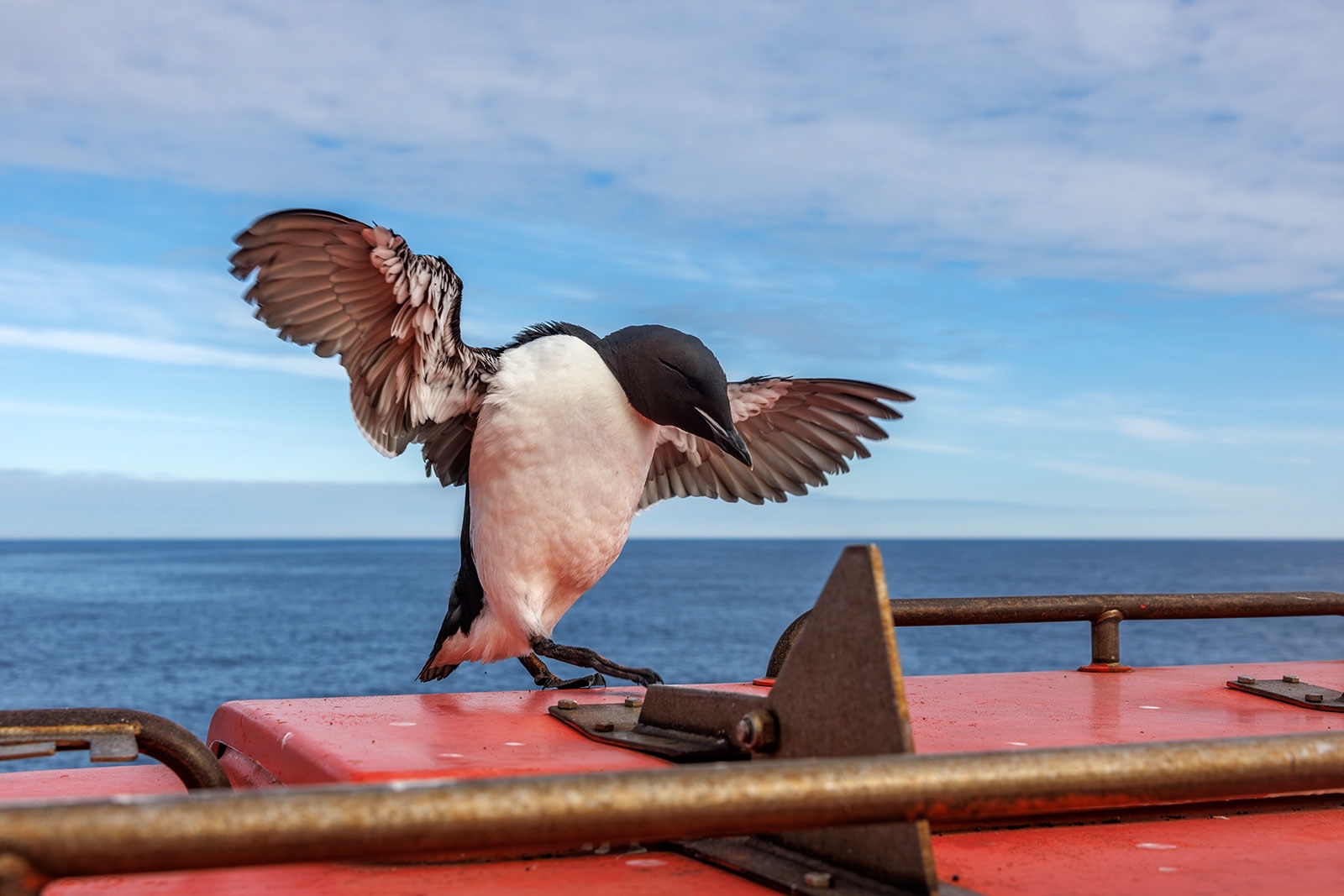 Россияне продлевают лето: Карелия вошла в топ регионов для путешествия в бархатный сезон