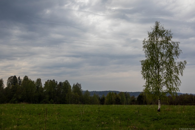 МЧС Карелии предупреждает об усилении ветра