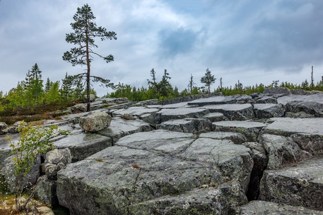 Карелия прошла пик аномальной жары