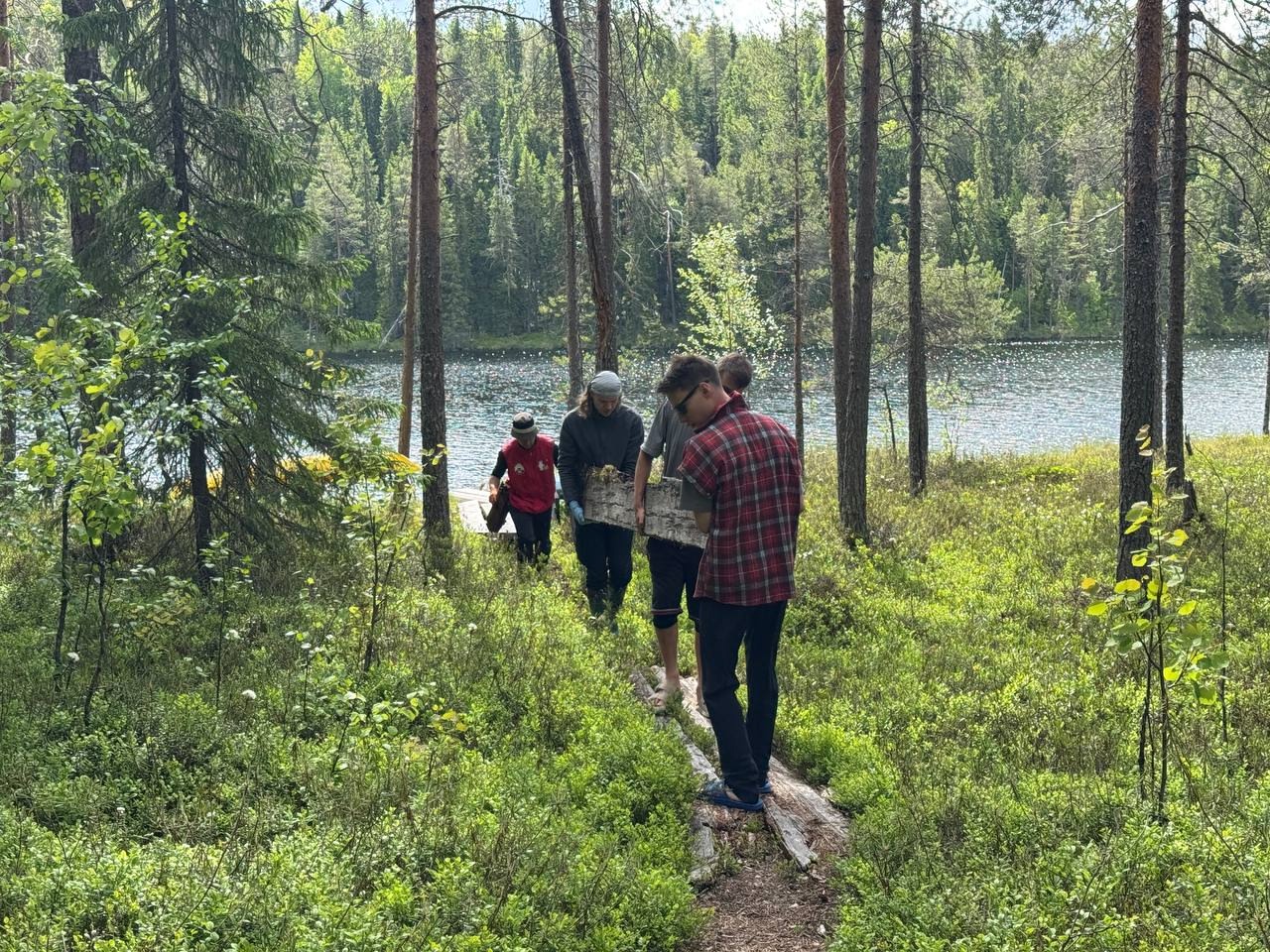 Студенты и экспедиции: чем запомнилось лето в Костомукшском заповеднике
