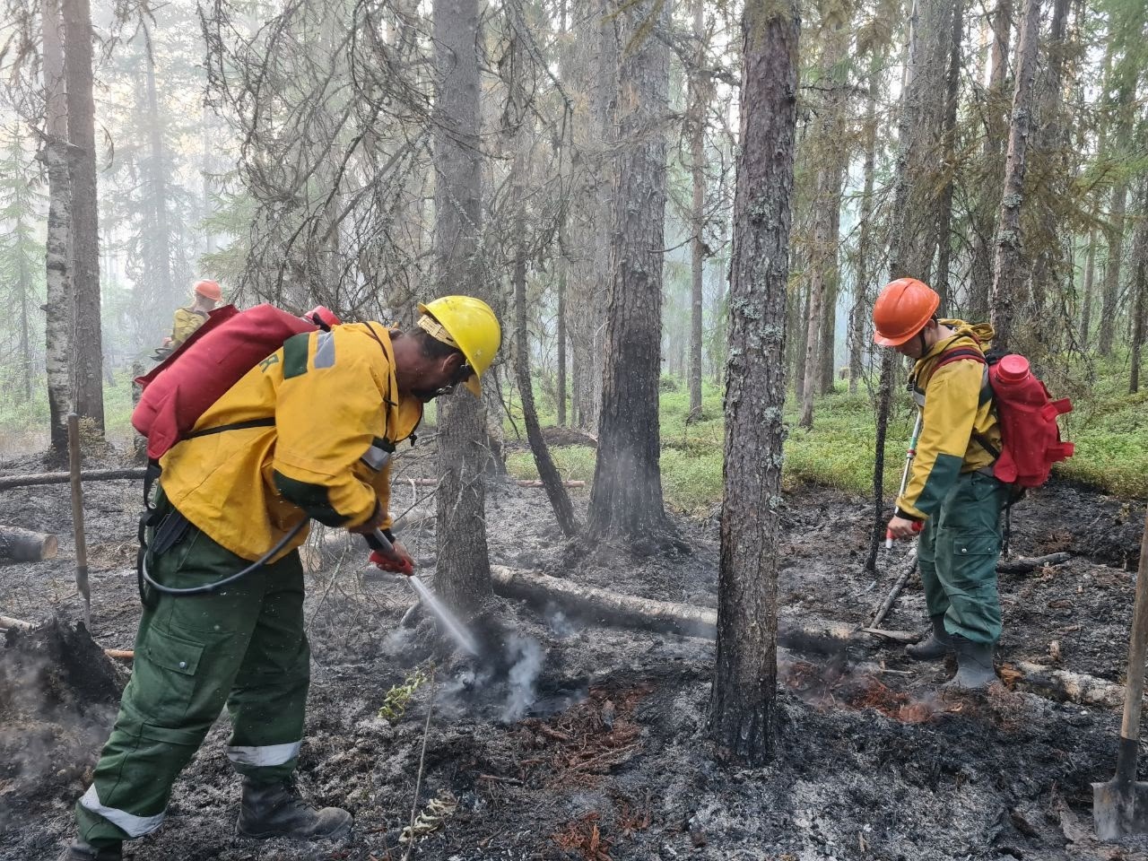 Глава Минприроды пообещала разобраться в ситуации после откровенного видеообращения бойцов авиалесоохраны Карелии