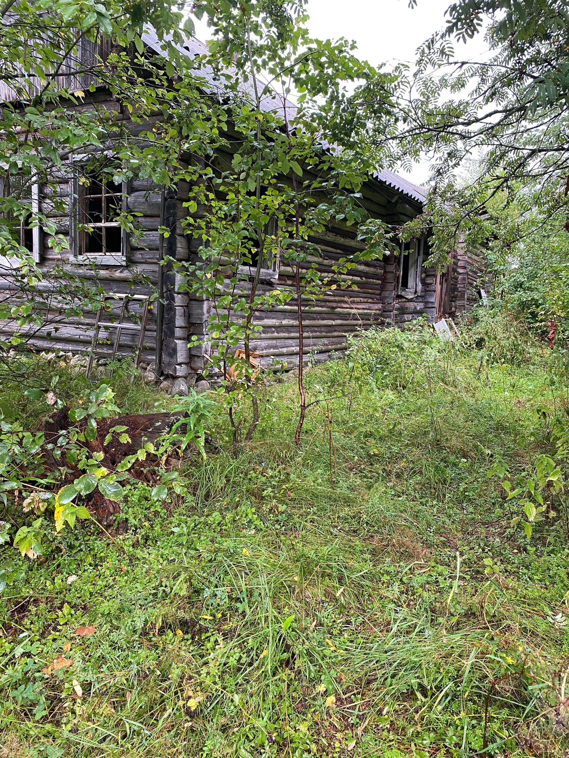 Злоумышленники разгромили дом в Пряжинском районе