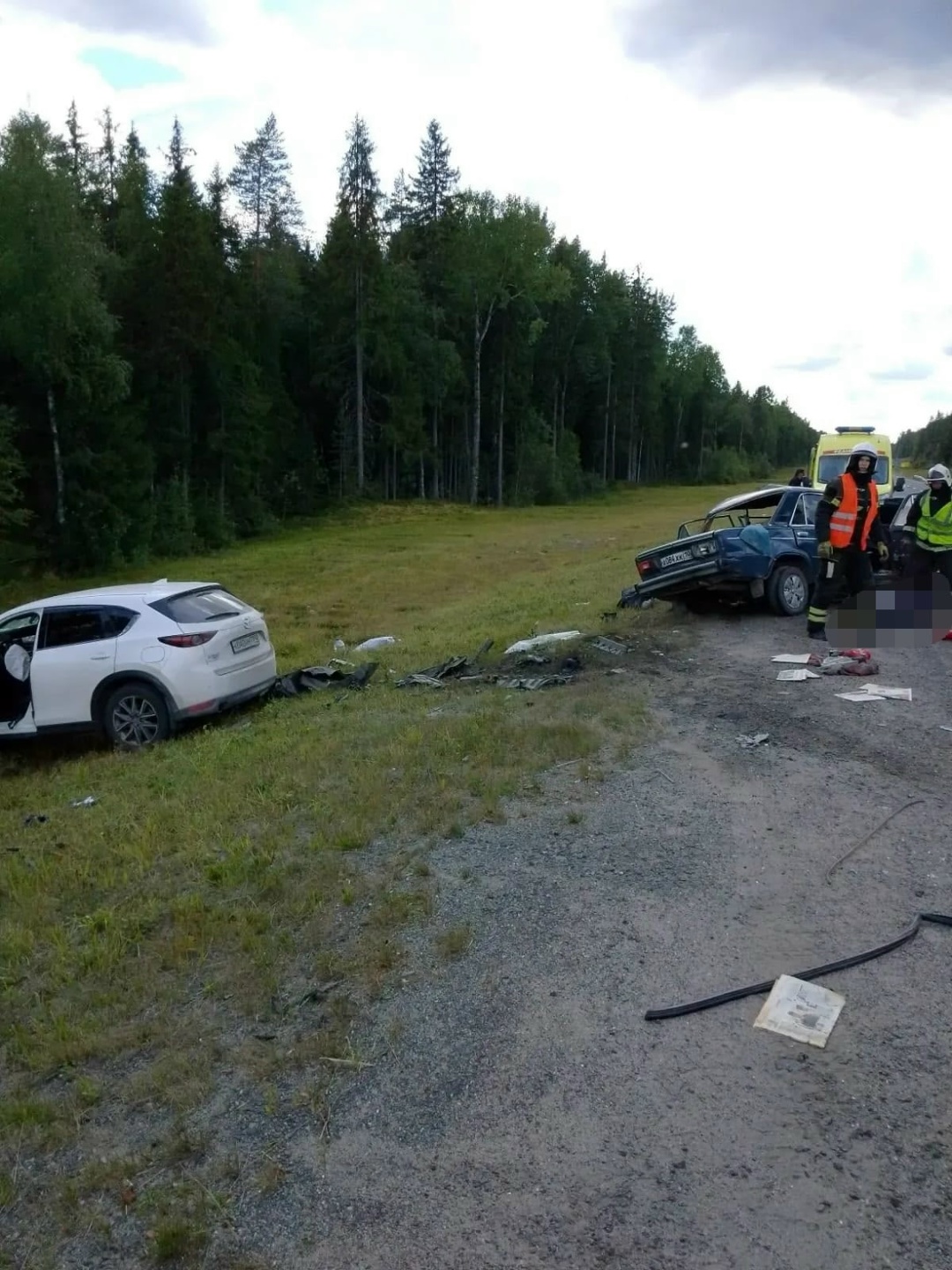 Полиция ищет свидетелей смертельной аварии в Пряжинском районе