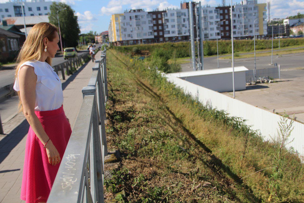 Надежда Дрейзис: «Опасное растение стояло прямо возле тротуара, протягивая прохожим свои шипастые дудки»