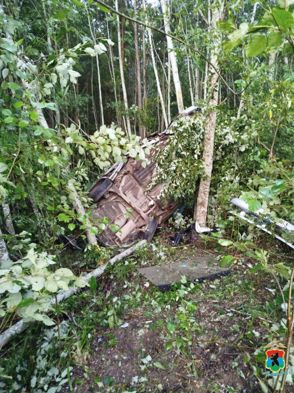 Погибшему водителю в Пудожском районе было 30 лет