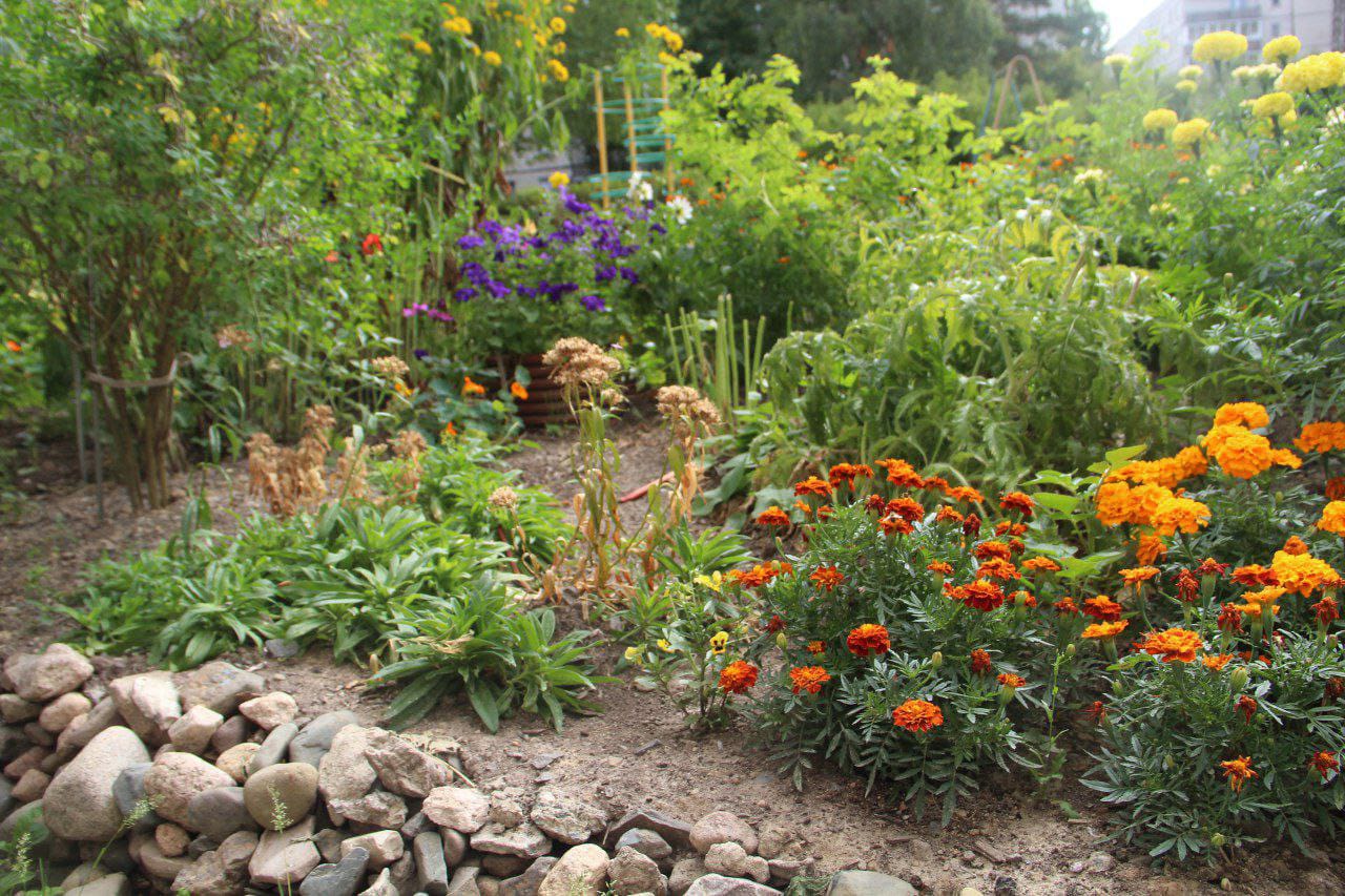 Жительница Петрозаводска посадила в своём дворе 80-метровый цветочный сад