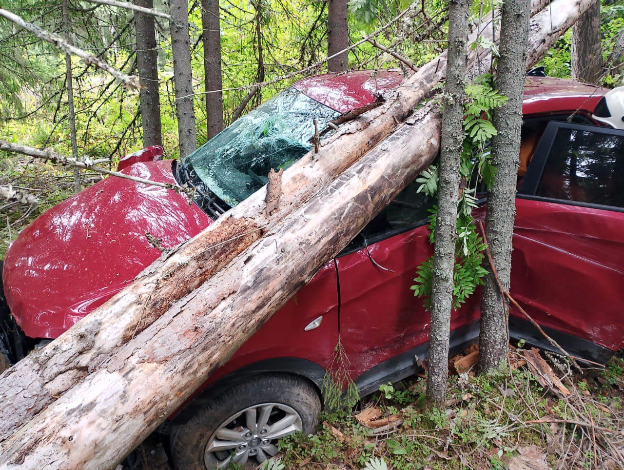 На месте аварии работали врачи: еще один водитель не сумел проехать мимо дерева