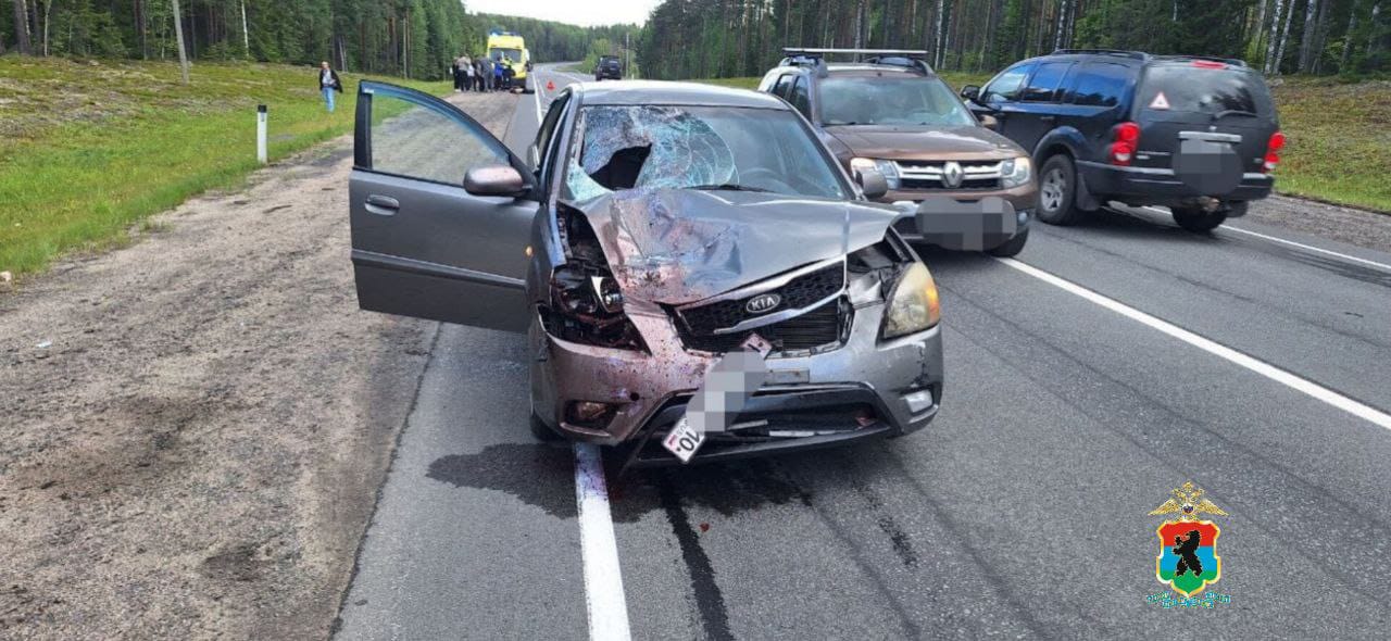 Пешехода насмерть сбили на трассе в Кондопожском районе