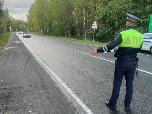 28 августа в Петрозаводске будут ловить пьяных водителей