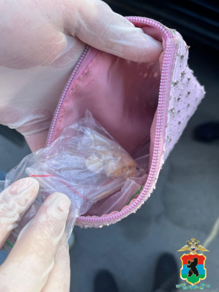 Наркосбытчик с криминальным стажем снова взялся за старое в Петрозаводске