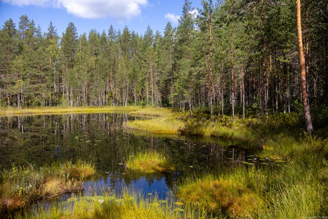 Роспотребнадзор Карелии назвал район республики, где вода и почва соответствует нормам
