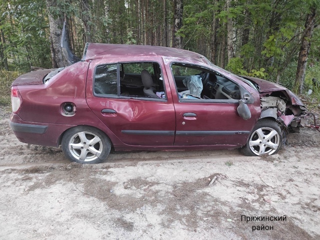 Молодая девушка на легковушке врезалась в дерево в Пряжинском районе
