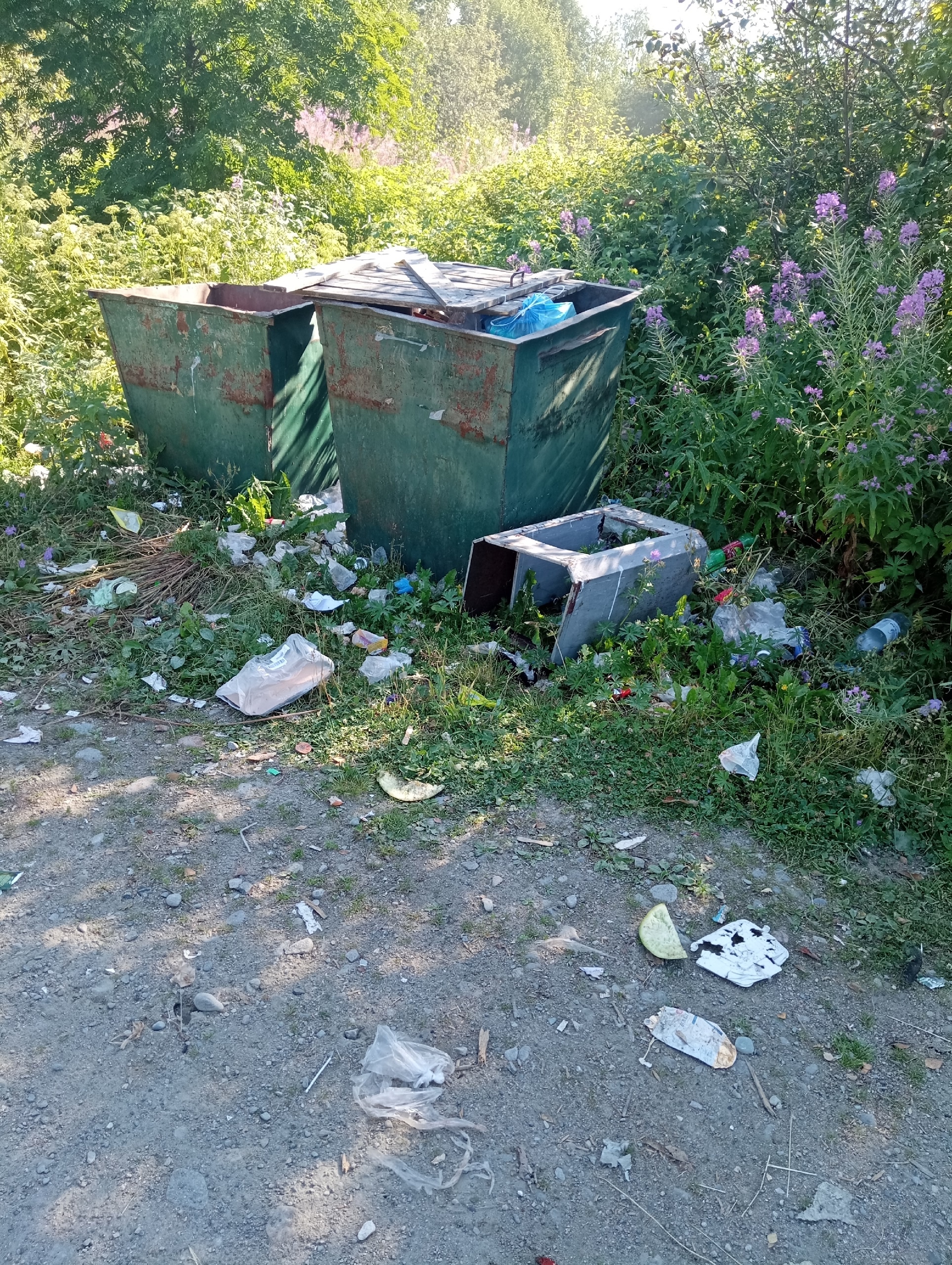«Организуйте воскресник»: жителям карельского поселка предложили самим разобраться с мусором