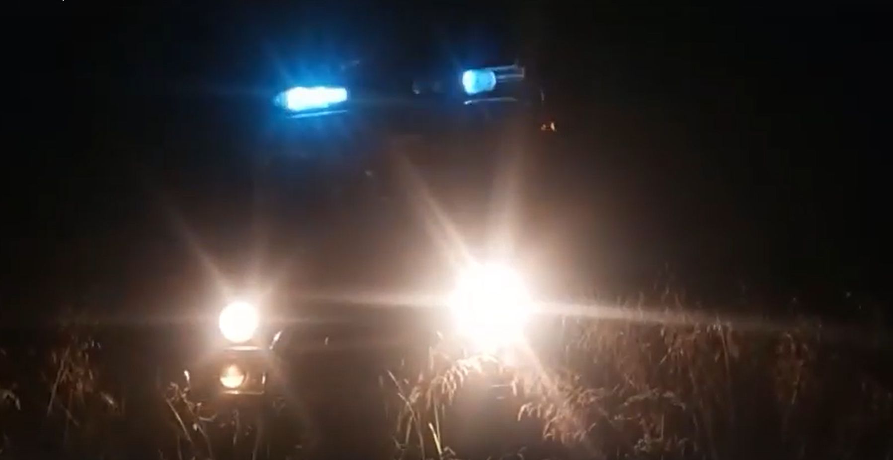 Заблудившуюся накануне в лесу пожилую женщину спасатели Карелии нашли ночью