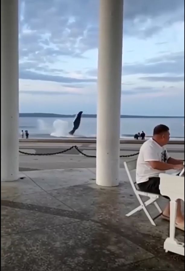 Невероятное зрелище под звуки пианино потрясло набережную Петрозаводска