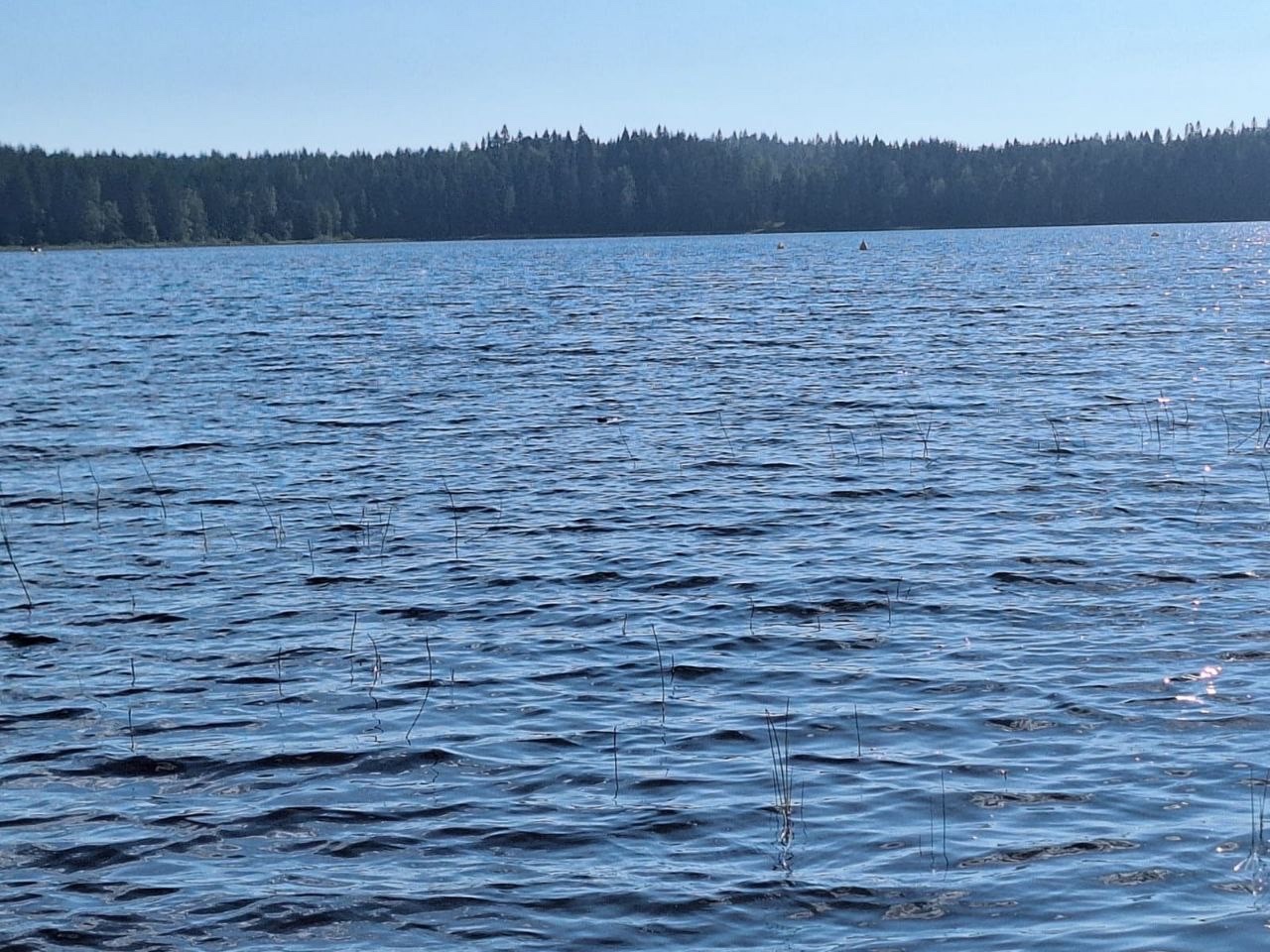 Отдых на берегу обернулся очередной трагедией: в Суоярвском округе утонула женщина