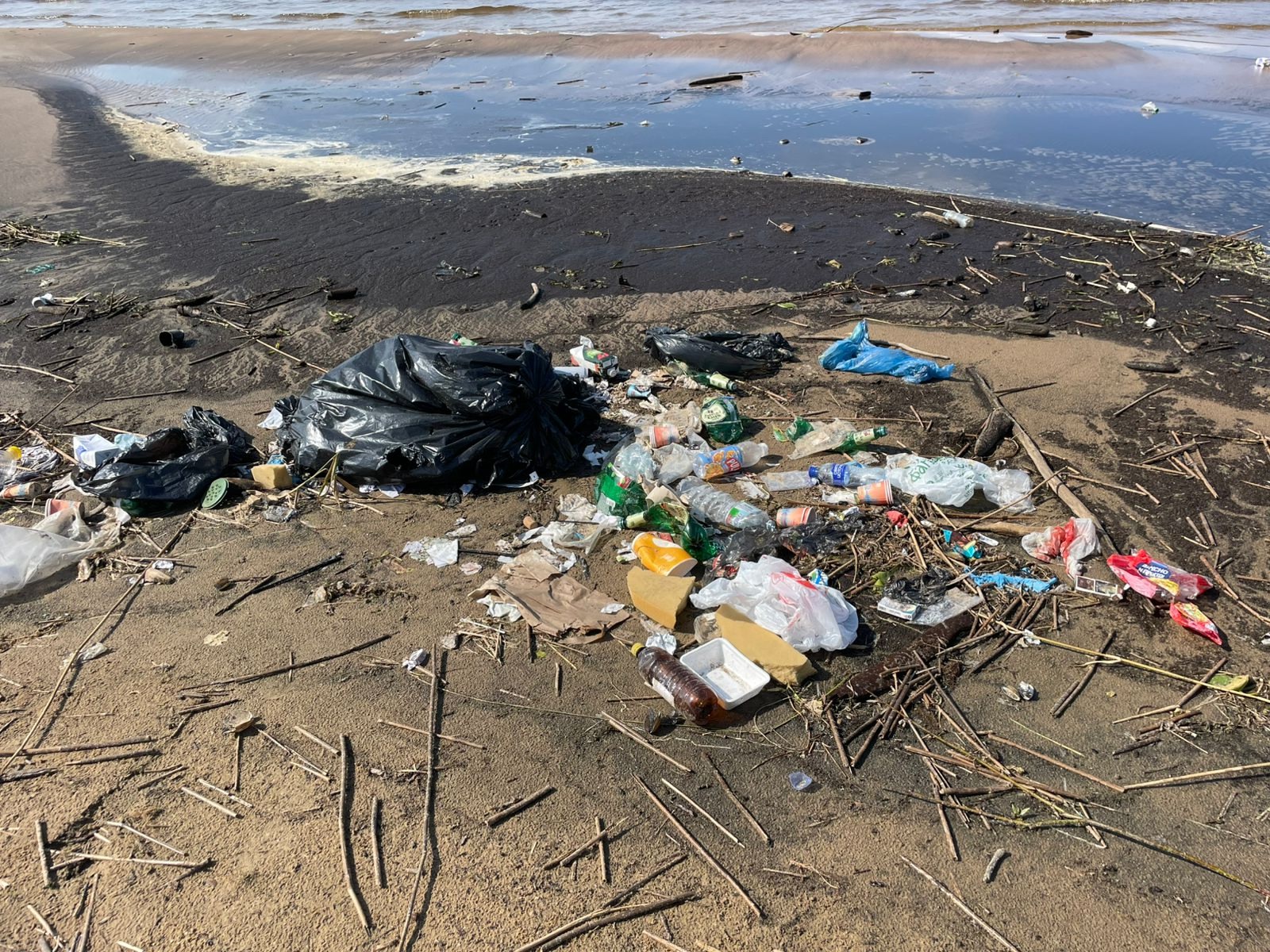 Мусор на берегах Ладоги убивает животных и птиц